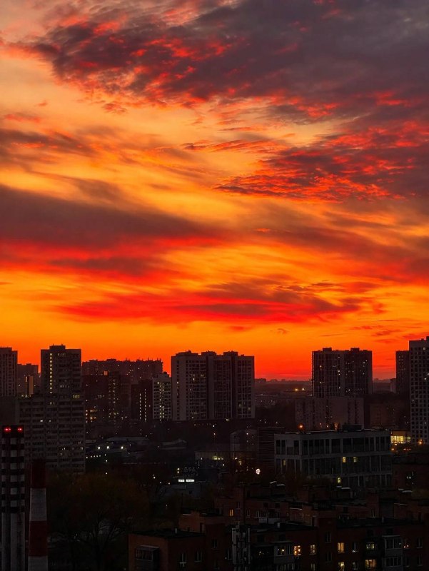 Фото поста канала Москвач • Новости Москвы