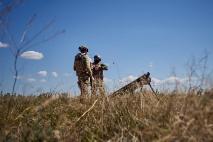 Фото поста канала  Лента Новостей
