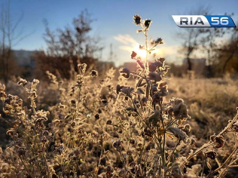 Фото поста канала  Оренбург онлайн | Новости