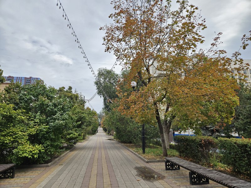 Фото поста канала  РОСТОВ ПАПА РОСТОВ-НА-ДОНУ