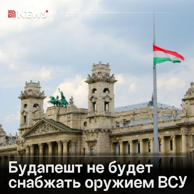 Фото поста канала  Мисливец Егор