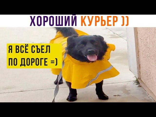 Фото поста канала  Питер против мобилизации