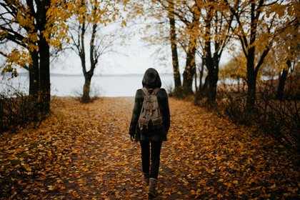 Фото поста канала  Лента Новостей