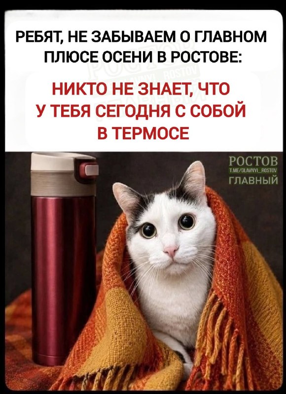 Фото поста канала  Ростов Главный новости