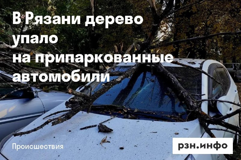 Фото поста канала  Новости Рязани • РЗН.инфо