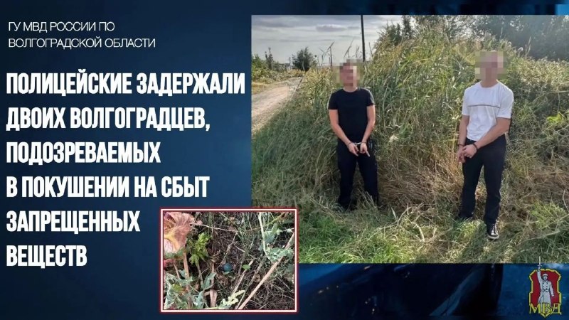 Фото поста канала  Жесть Волгограда