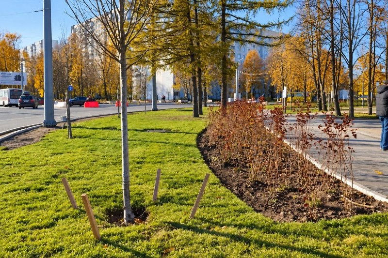 Фото поста канала  Ивановские новости