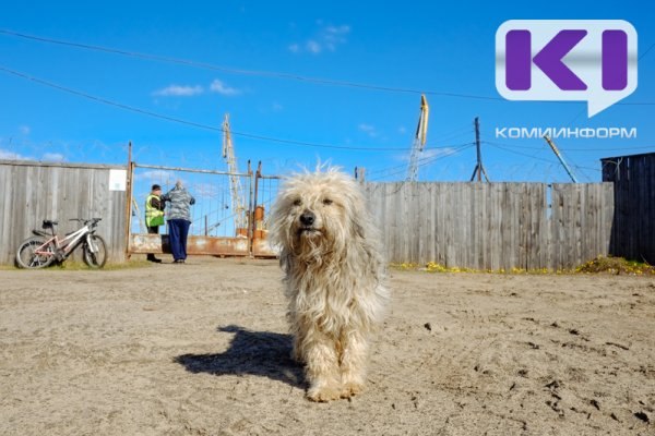 Фото поста канала  Комиинформ