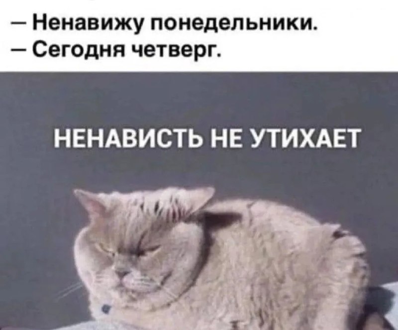 Фото поста канала  ИА ЛАБЫТНАНГИ