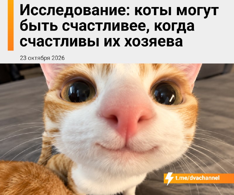Фото поста канала Двач