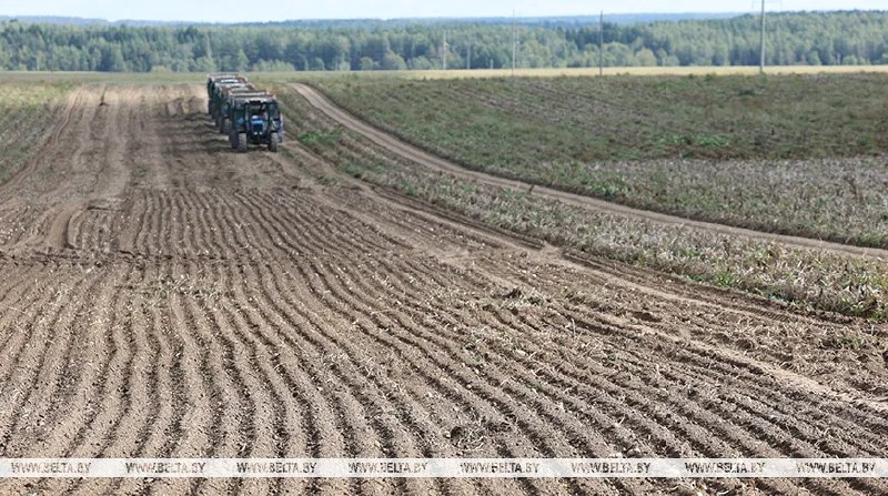 Фото поста канала  Виртуальный Брест новости