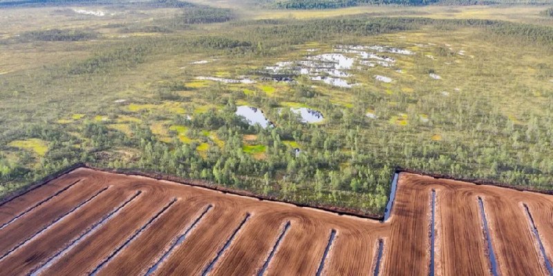 Фото поста канала  Украинские новости