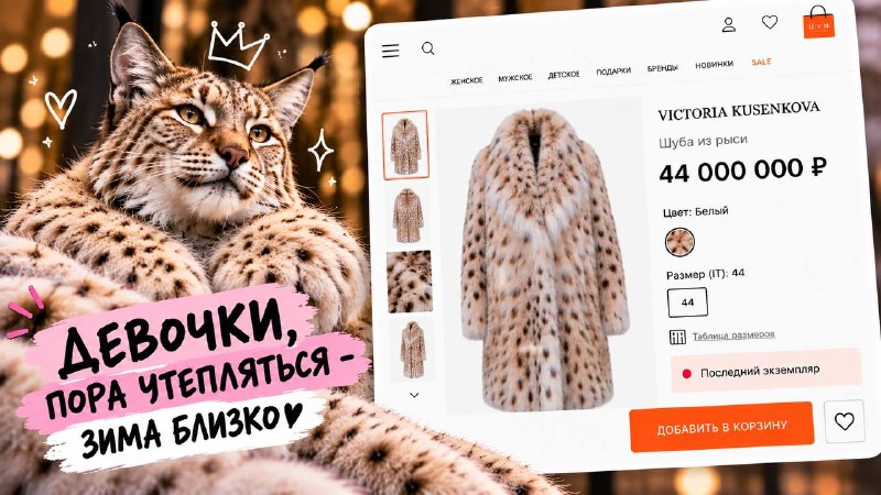 Фото поста канала  Камчатский Репортёр