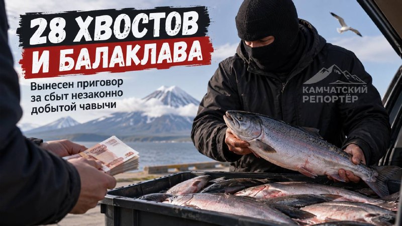 Фото поста канала  Камчатский Репортёр