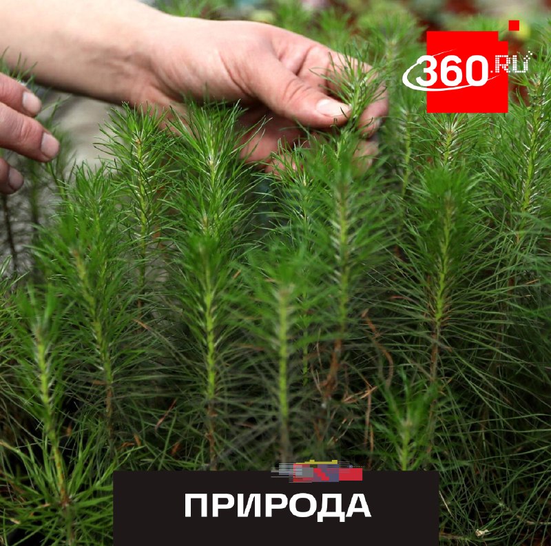 Фото поста канала  360.ru