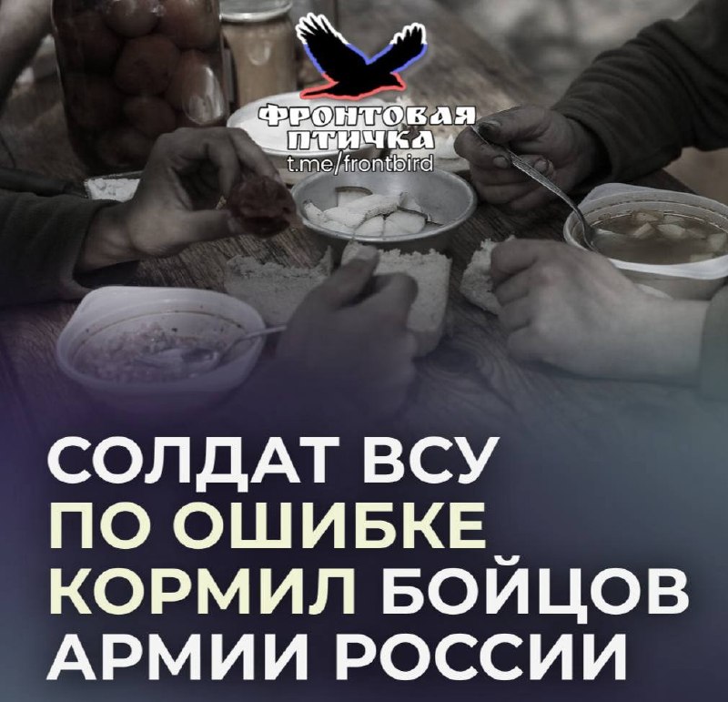 Фото поста канала  Фронтовая птичка