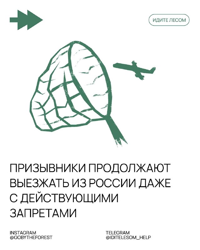Фото поста канала Идите лесом!