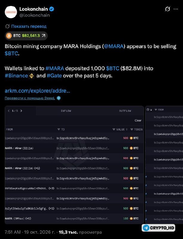 Фото поста канала Crypto Headlines