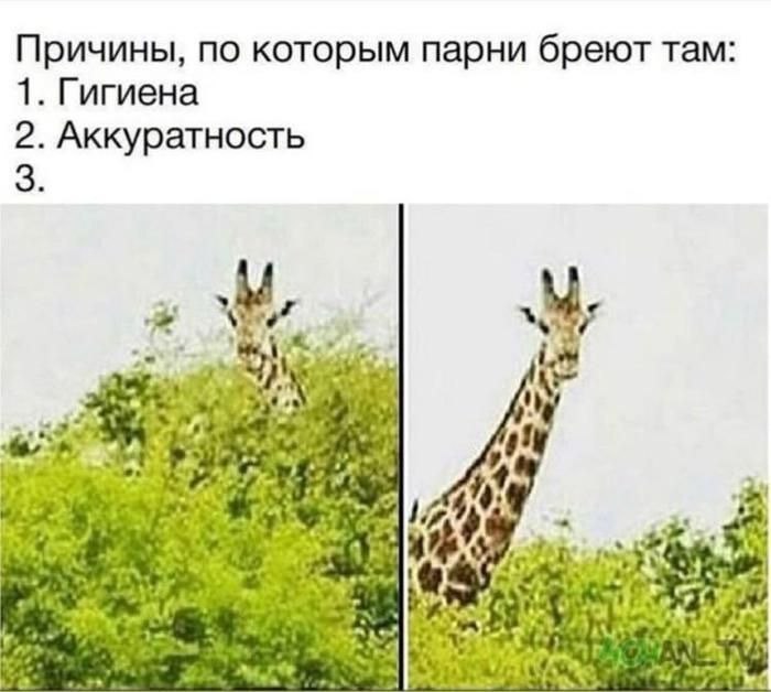 Фото поста канала  Еду в Татарстан