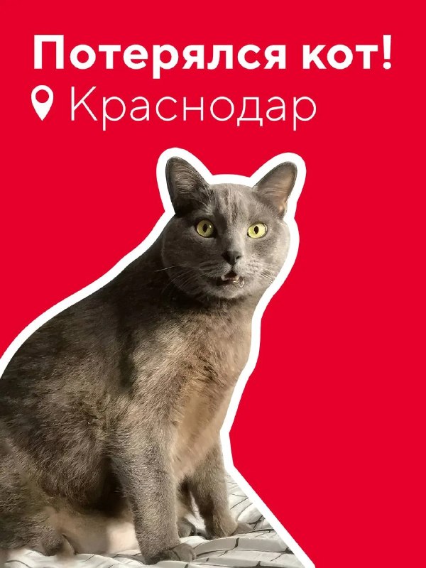 Фото поста канала  Живая Кубань