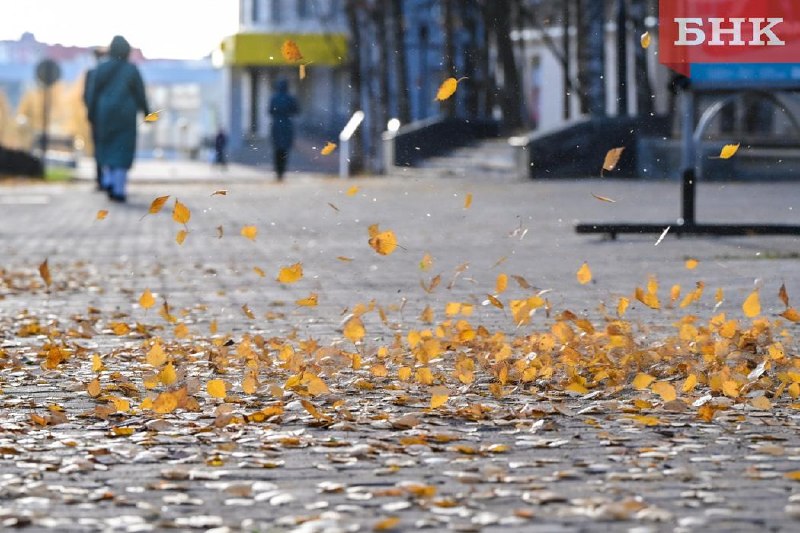 Фото поста канала  БНК