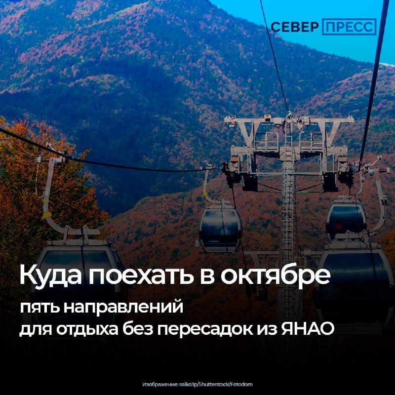 Фото поста канала  Мониторинг 89 Ямало-Ненецкий АО