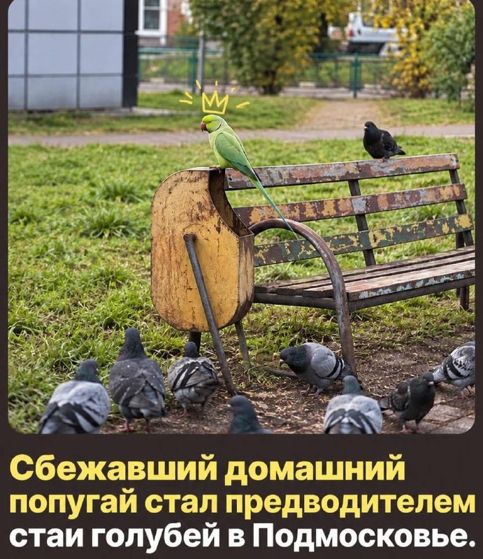 Фото поста канала  TraVel2you.News ⚡️