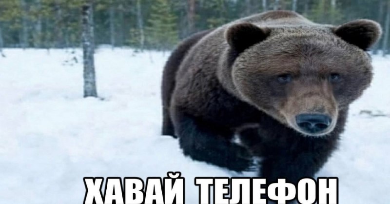 Фото поста канала  Zvezdanews