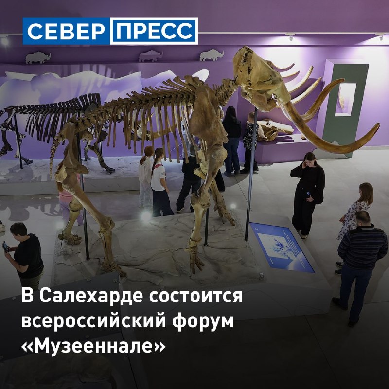 Фото поста канала  Мониторинг 89 Ямало-Ненецкий АО