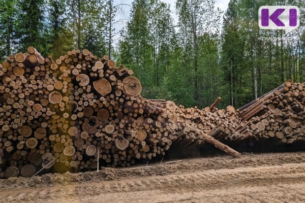 Фото поста канала  Комиинформ