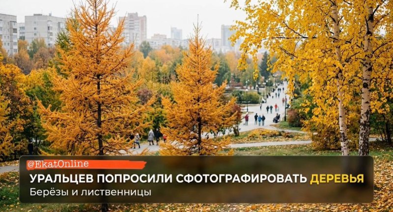 Фото поста канала  Екатеринбург Online