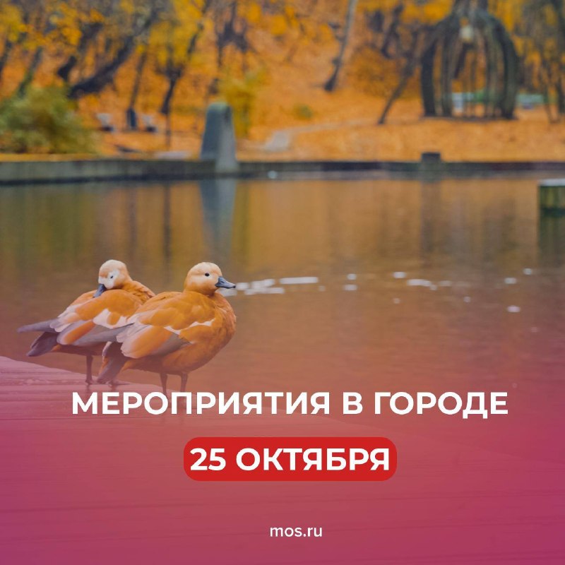 Фото поста канала  РИТА ЭБЗЕЕВА