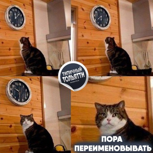 Фото поста канала  Типичный Тольятти | Новости