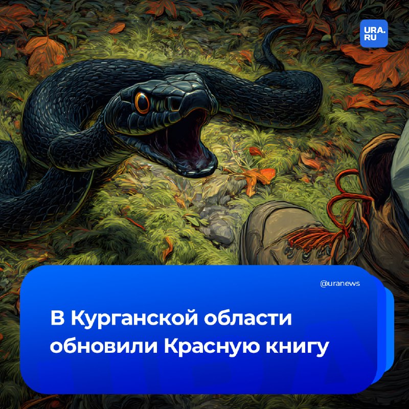 Фото поста канала  URA.RU