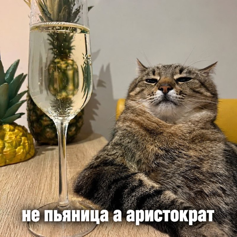 Фото поста канала Мой и твой Воронеж
