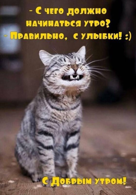 Фото поста канала Onliner