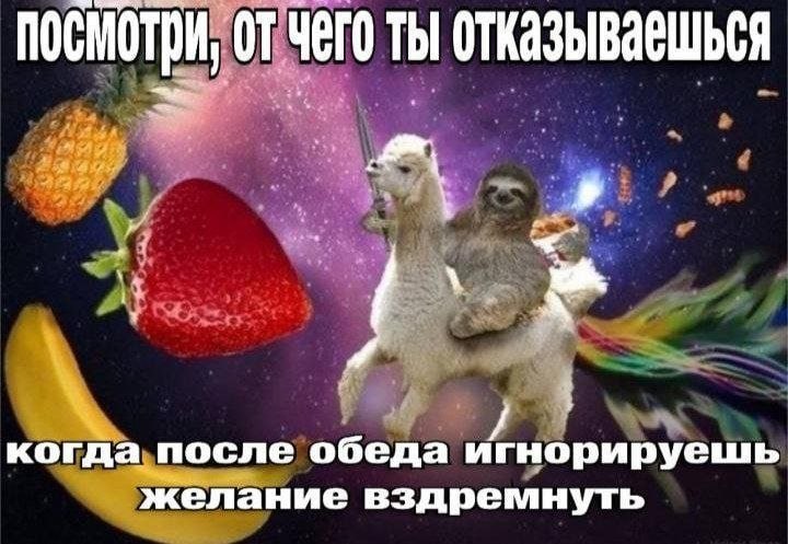 Фото поста канала  MemeBlog