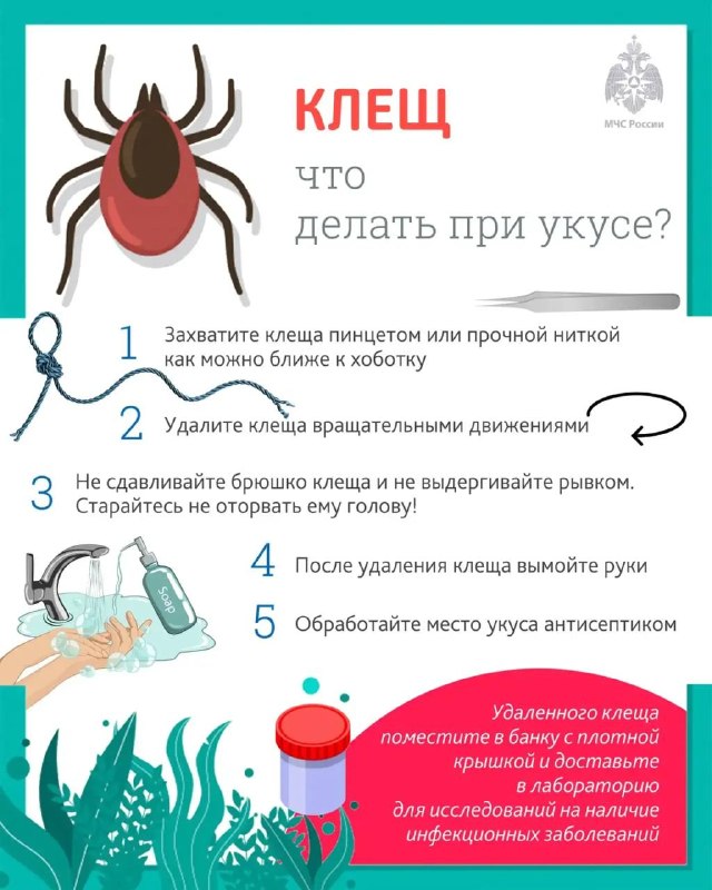 Фото поста канала  Жесть Липецк