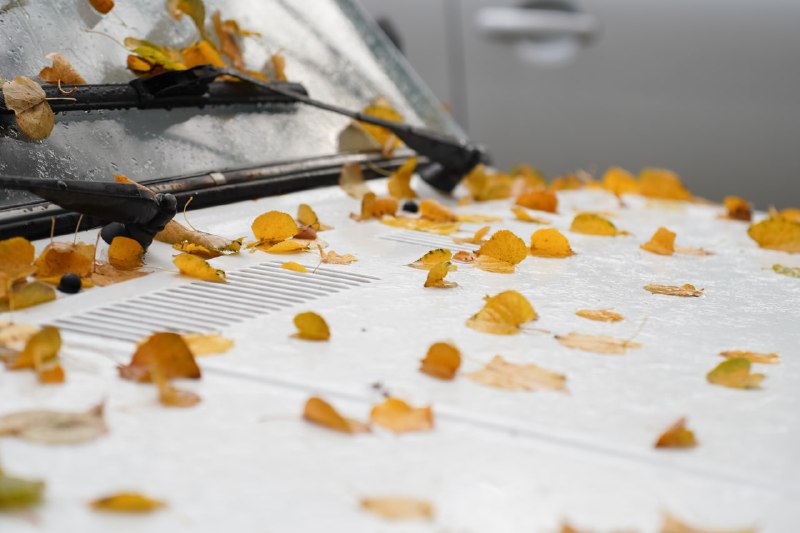 Фото поста канала  It's My City