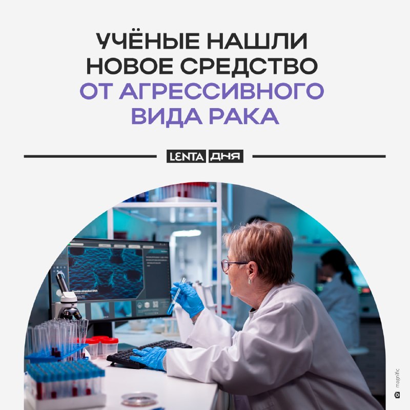 Фото поста канала Лента дня
