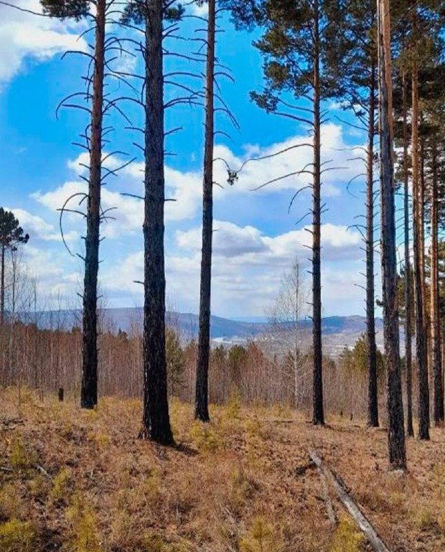 Фото поста канала Важные новости