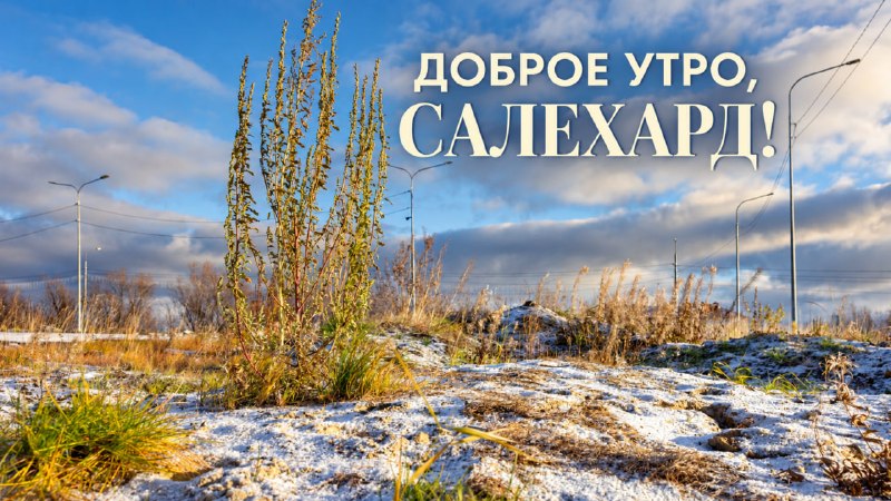 Фото поста канала  САЛЕХАРД онлайн