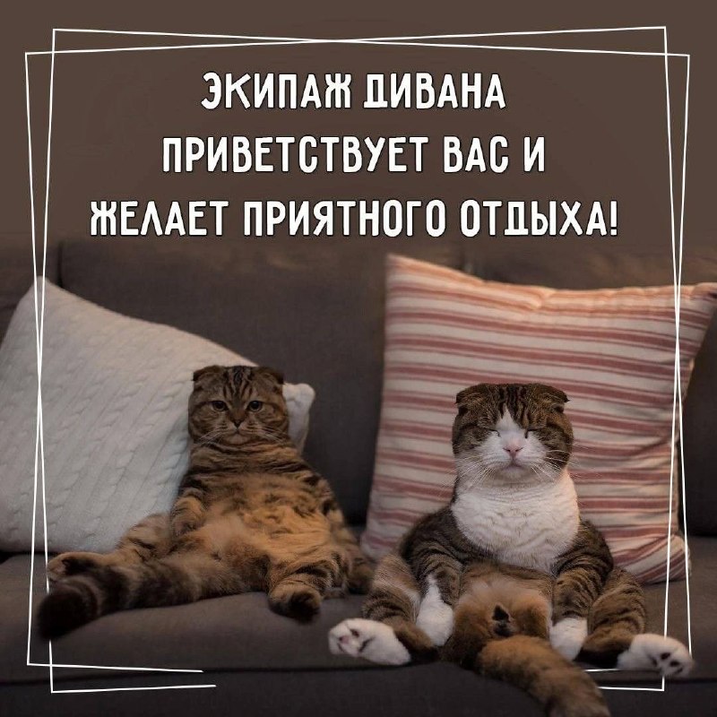 Фото поста канала  Внутри Можайска