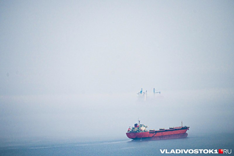 Фото поста канала  VLADIVOSTOK1.RU | Новости Приморья