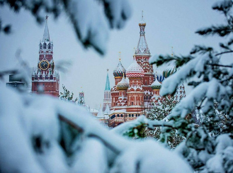 Фото поста канала  Москва сегодня