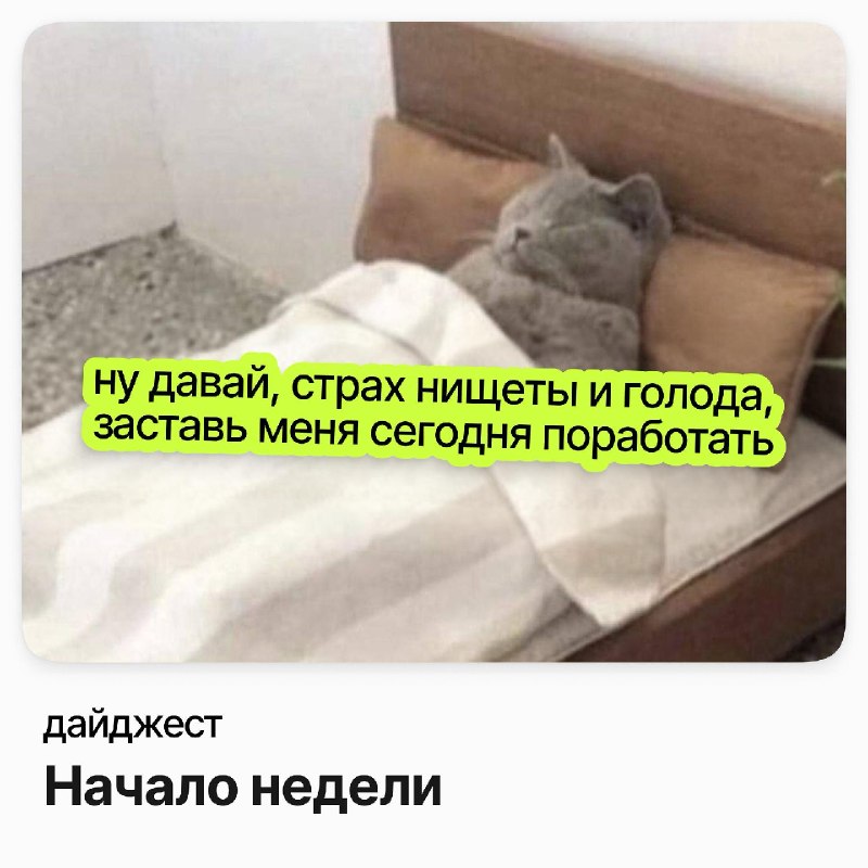Фото поста канала careerspace
