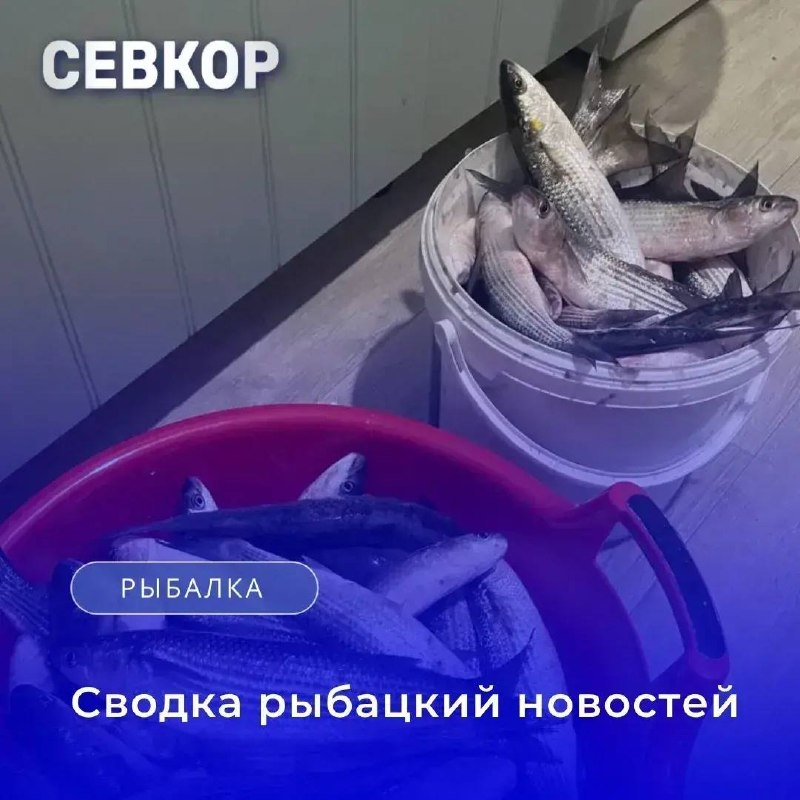 Фото поста канала  Севкор z Новости Севастополя z