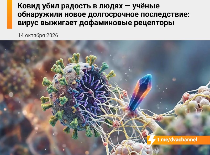 Фото поста канала Двач