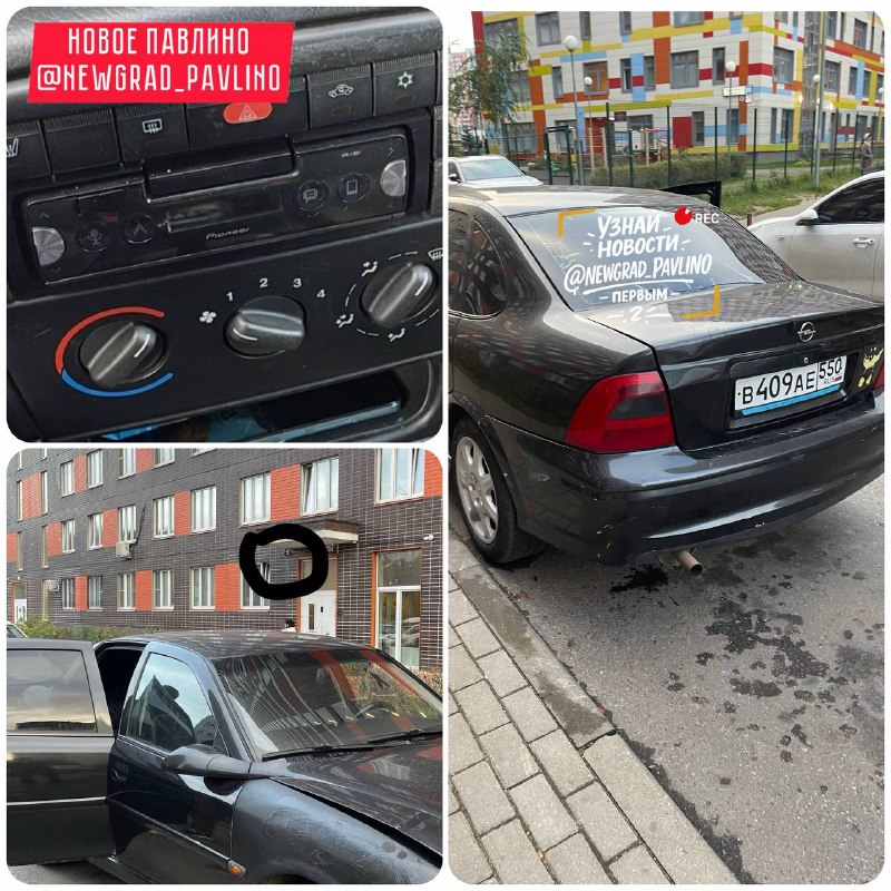 Фото поста канала  НОВОЕ ПАВЛИНО