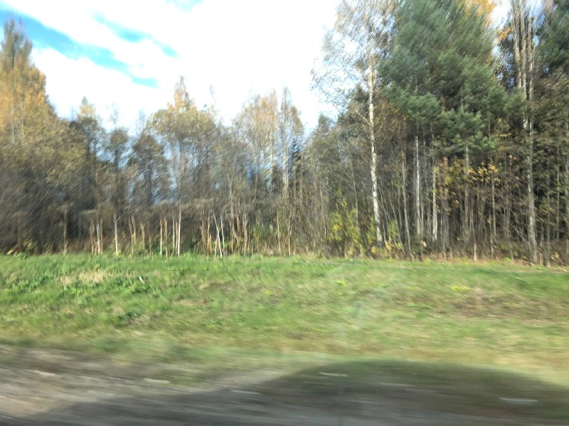 Фото поста канала  Экология Поморья. Северо-Запад